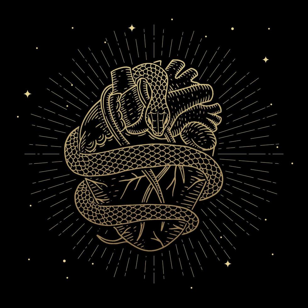 The heart wrapped by the golden magical snake vector