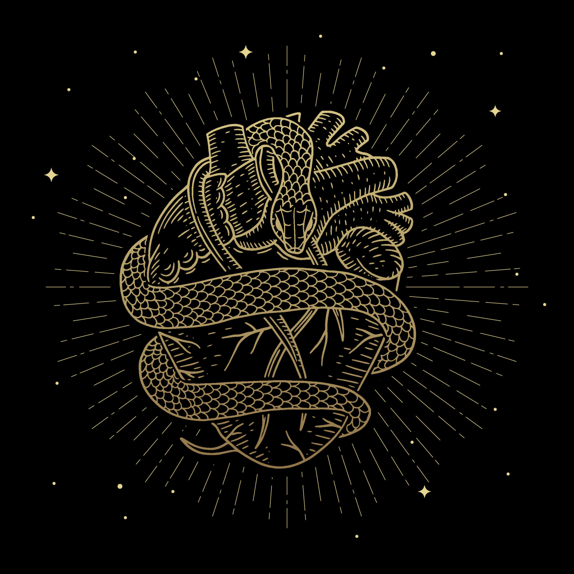 The heart wrapped by the golden magical snake 12189271 Vector Art at