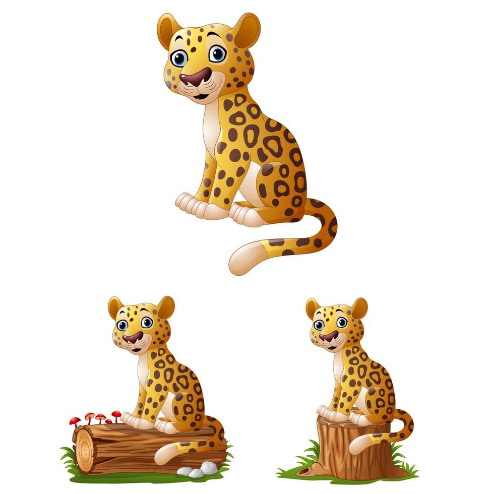 conjunto de colecciones de dibujos animados leopardo sentado vector