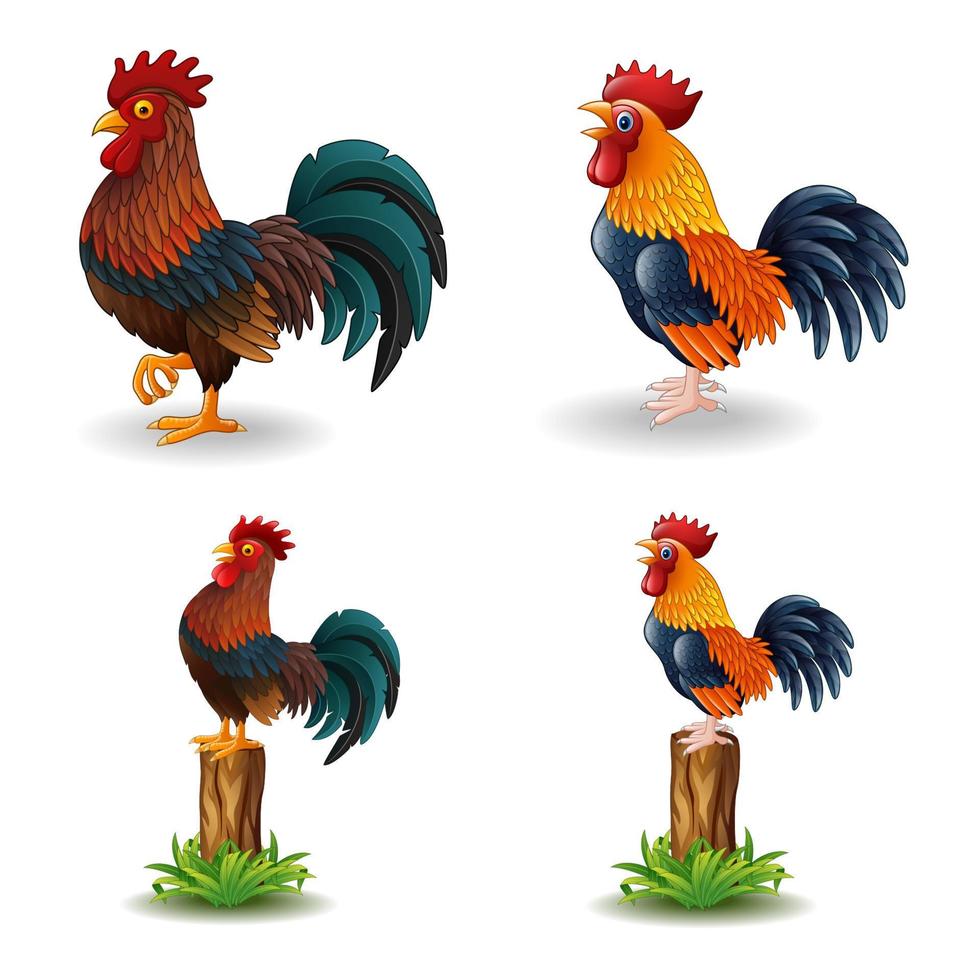 Cartoon rooster isolated on white background vector