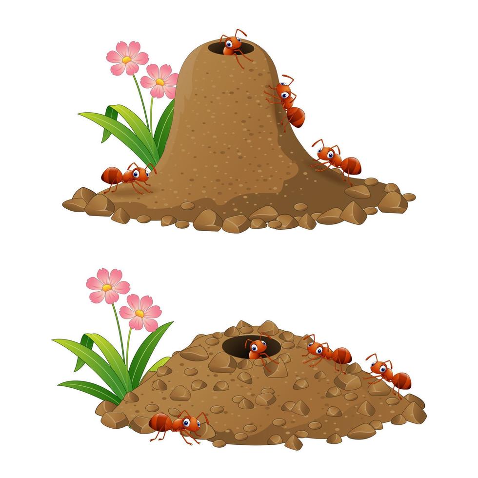 Cartoon ants colony and ant hill vector