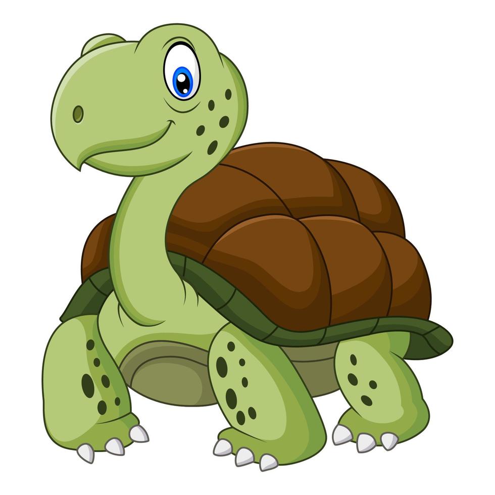 Funny turtle cartoon vector