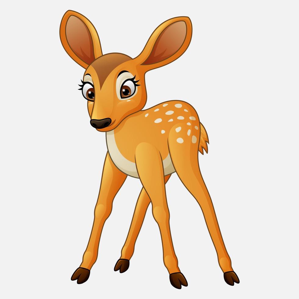 Cute deer cartoon vector