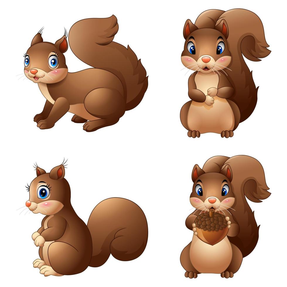 Cartoon funny squirrel set holding pine cone vector