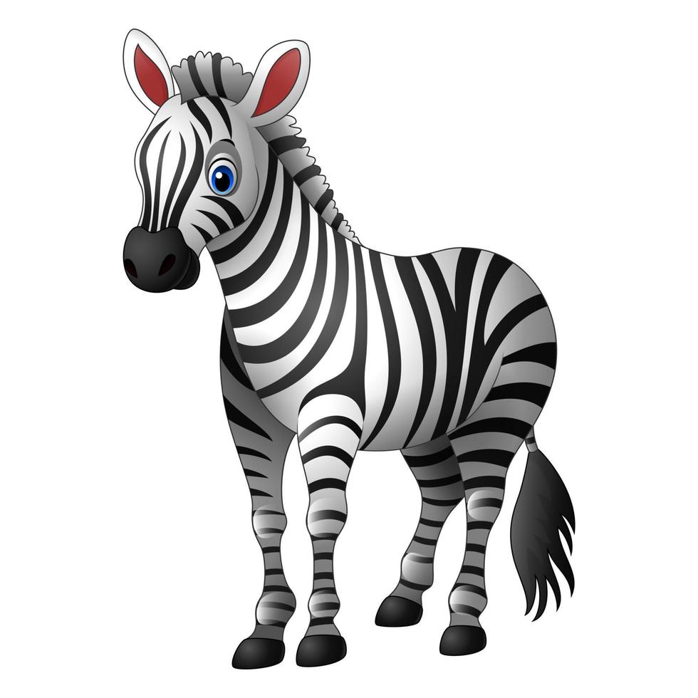 Cartoon zebra standing isolated on white background vector
