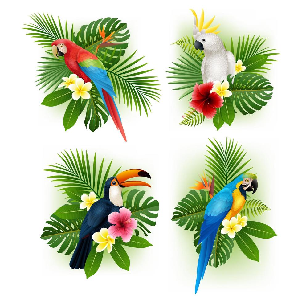 conjunto de colección de flores y pájaros tropicales vector