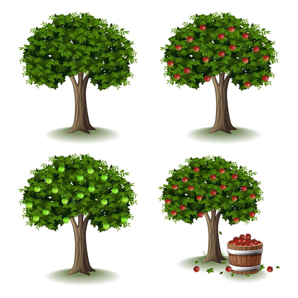 Apple tree illustration collections set vector