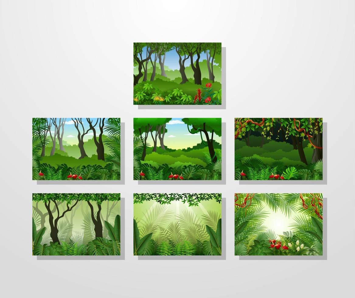 Tropical forest background illustration collections vector