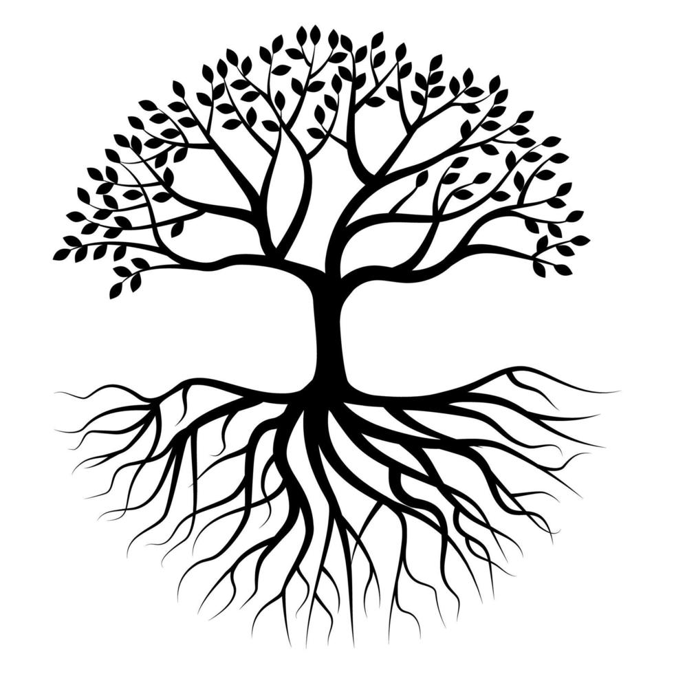 Tree silhouette with root vector