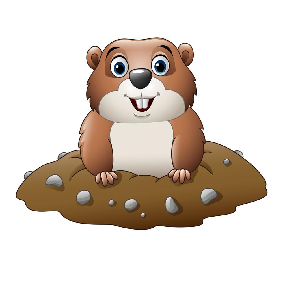 Cartoon funny groundhog vector