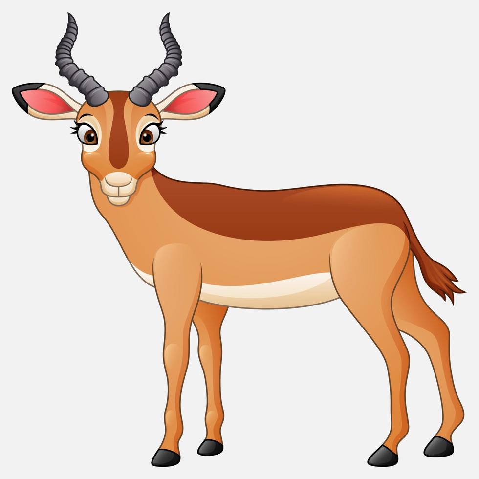 Cartoon impala isolated on white background vector