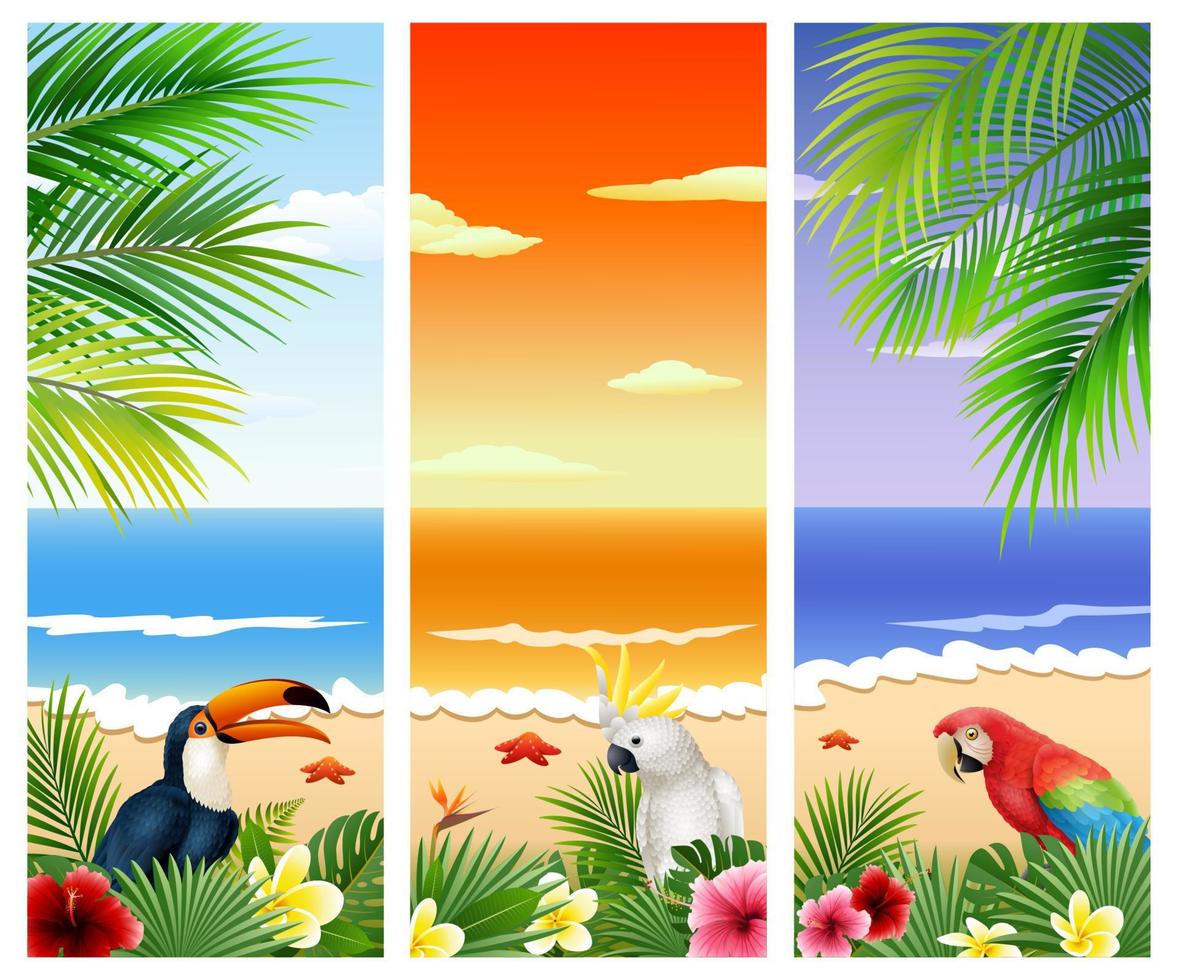 conjunto de tres fondo de playa tropical vector