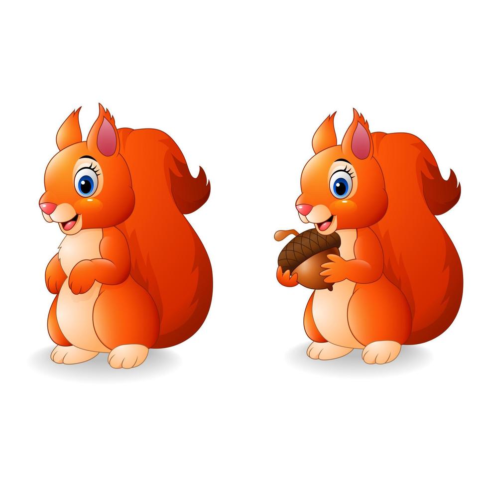 Cartoon funny squirrel vector