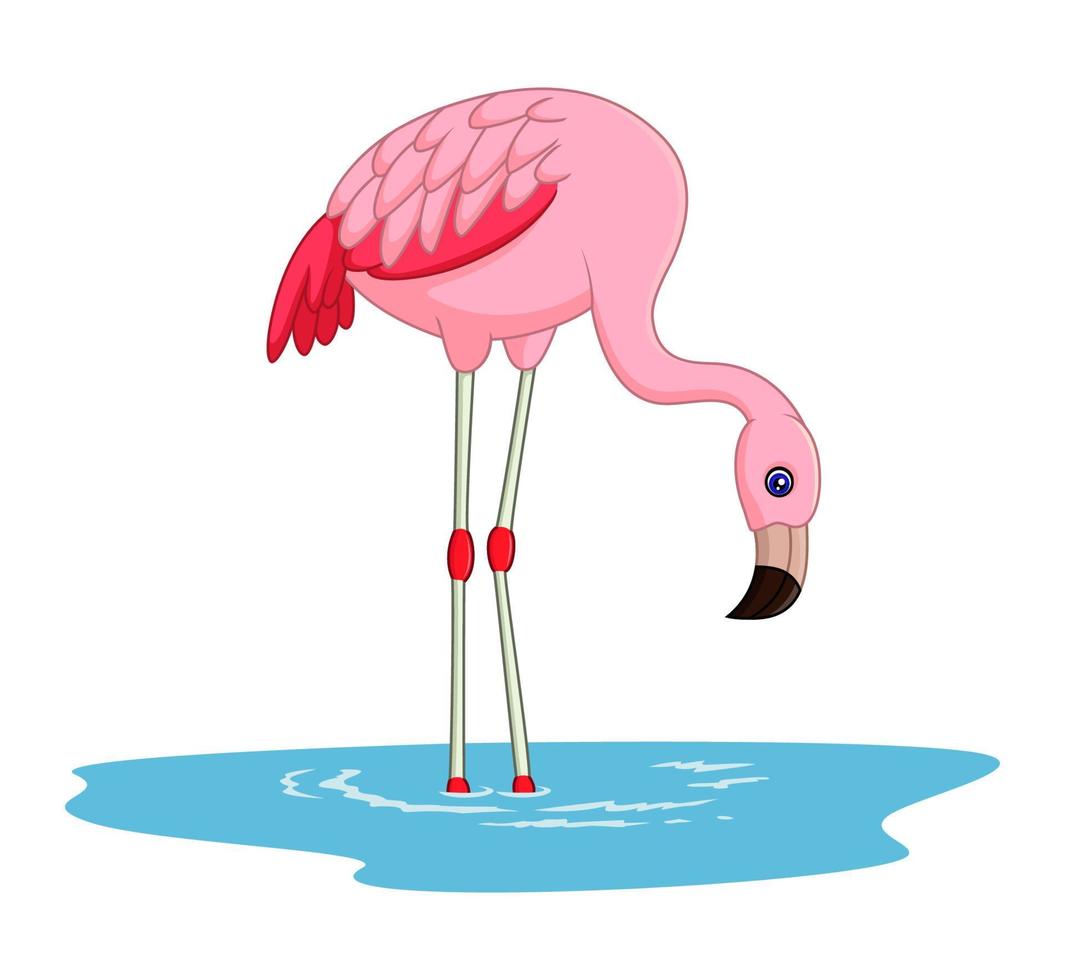 Cartoon flamingo standing vector