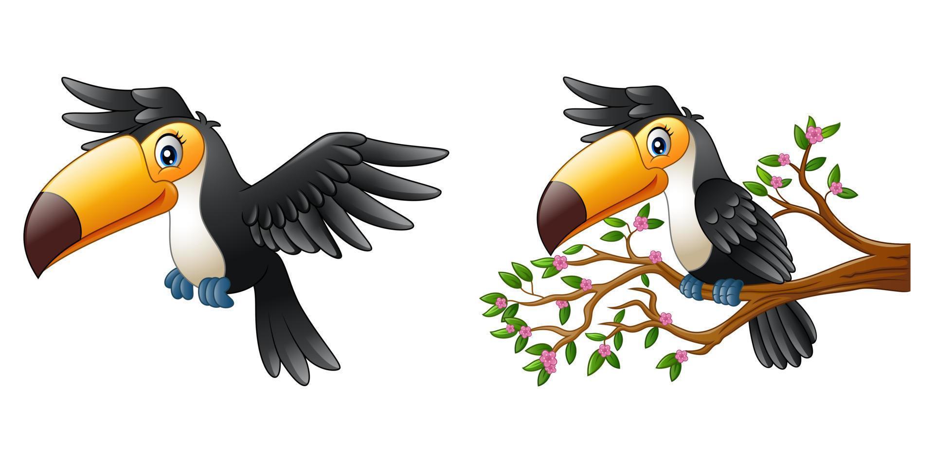 Vector illustration of Cartoon funny toucan collections