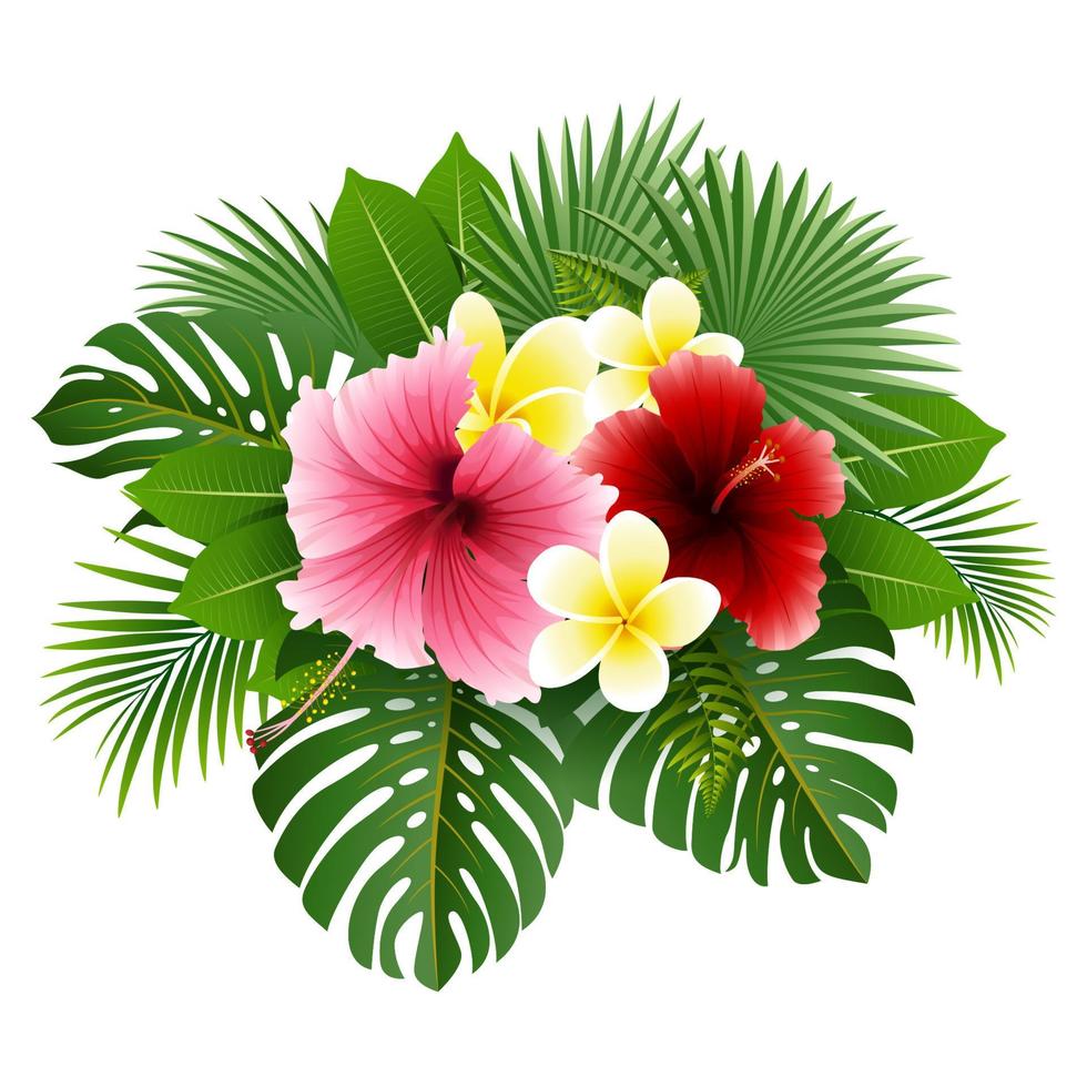 Beautiful tropical flowers and leaves vector