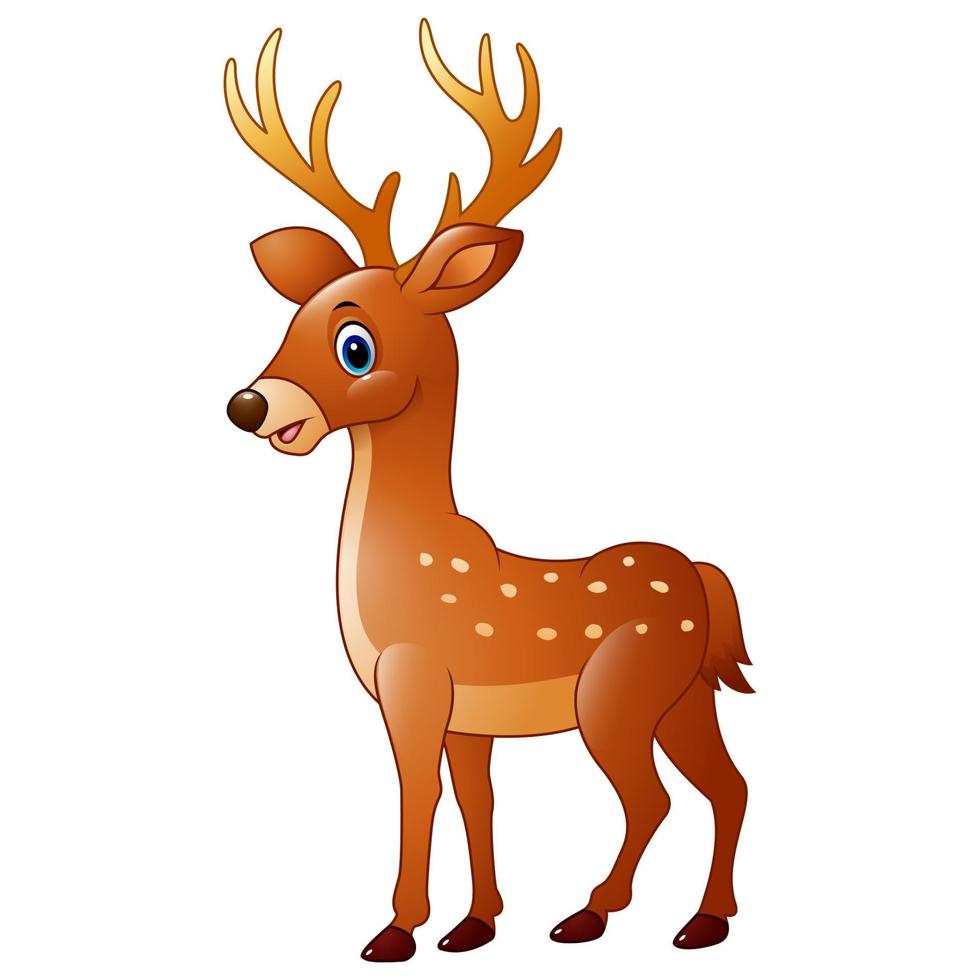 Cartoon funny deer vector