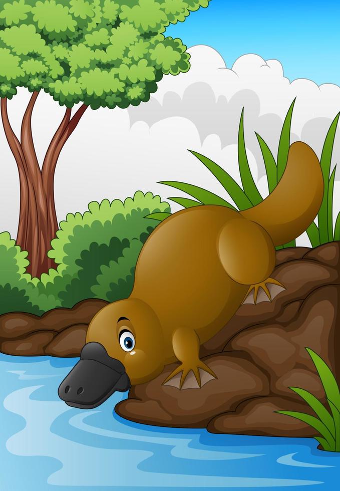 Cartoon platypus in forest creek vector