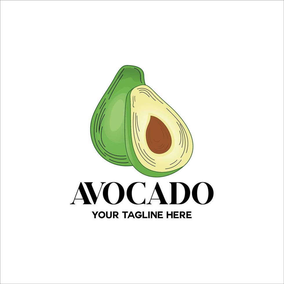 very fresh split avocado fruit vector