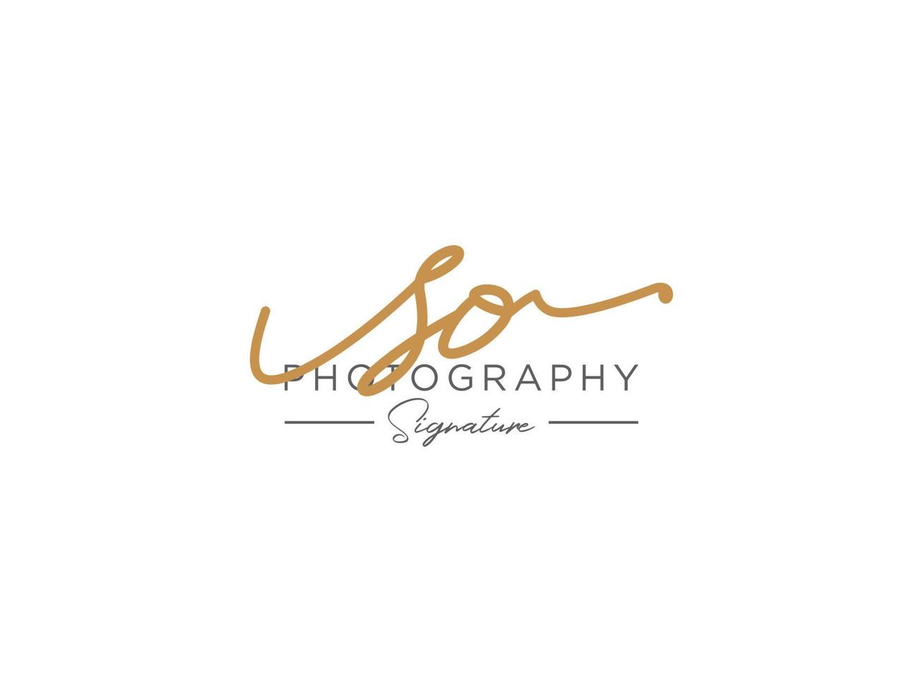 Letter SO Signature Logo Template Vector