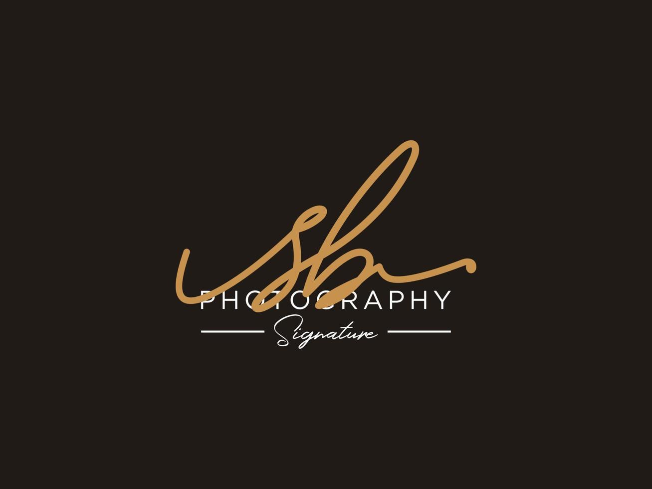 Letter SB Signature Logo Template Vector