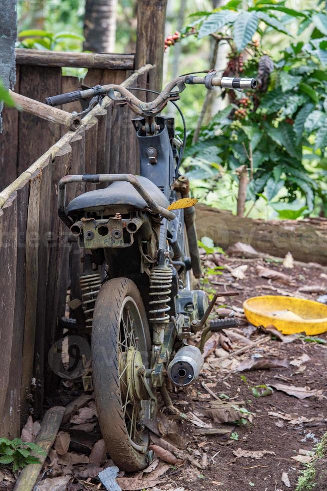old abandoned motorbike in the forest photo