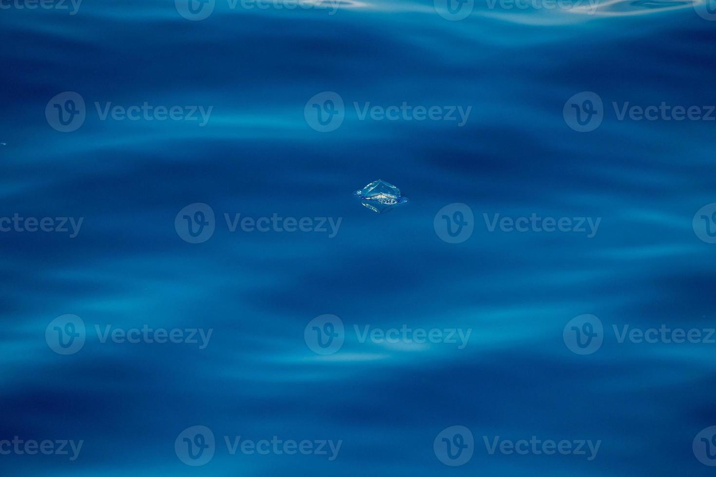 medusas velella en la parte posterior del mar azul profundo foto