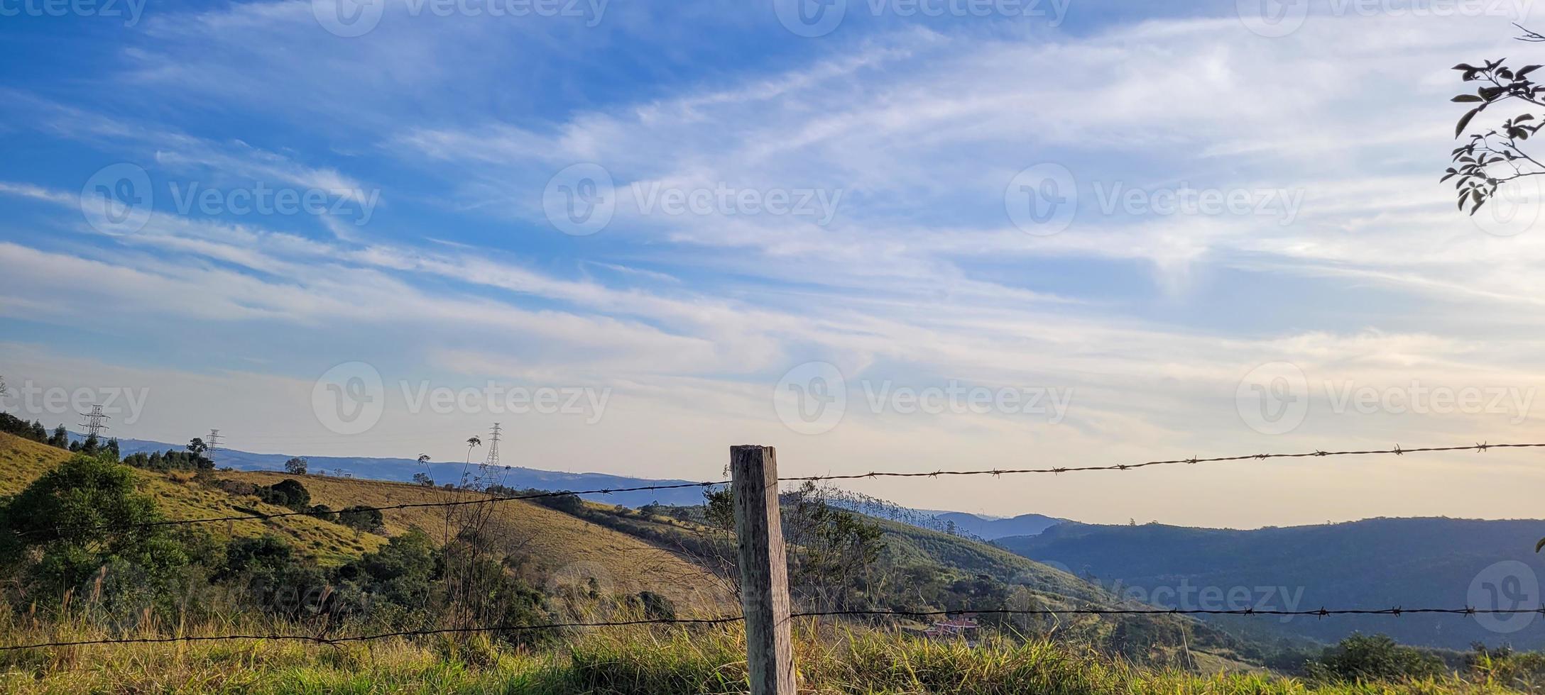 rural nature landscape in the interior of Brazil in a eucalyptus farm in the middle of nature photo