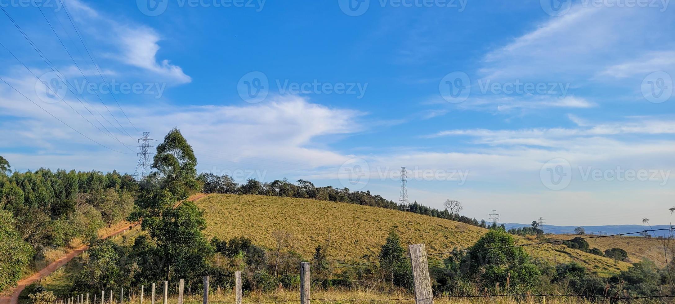 paisaje natural rural en el interior de brasil en una finca de eucaliptos en medio de la naturaleza foto