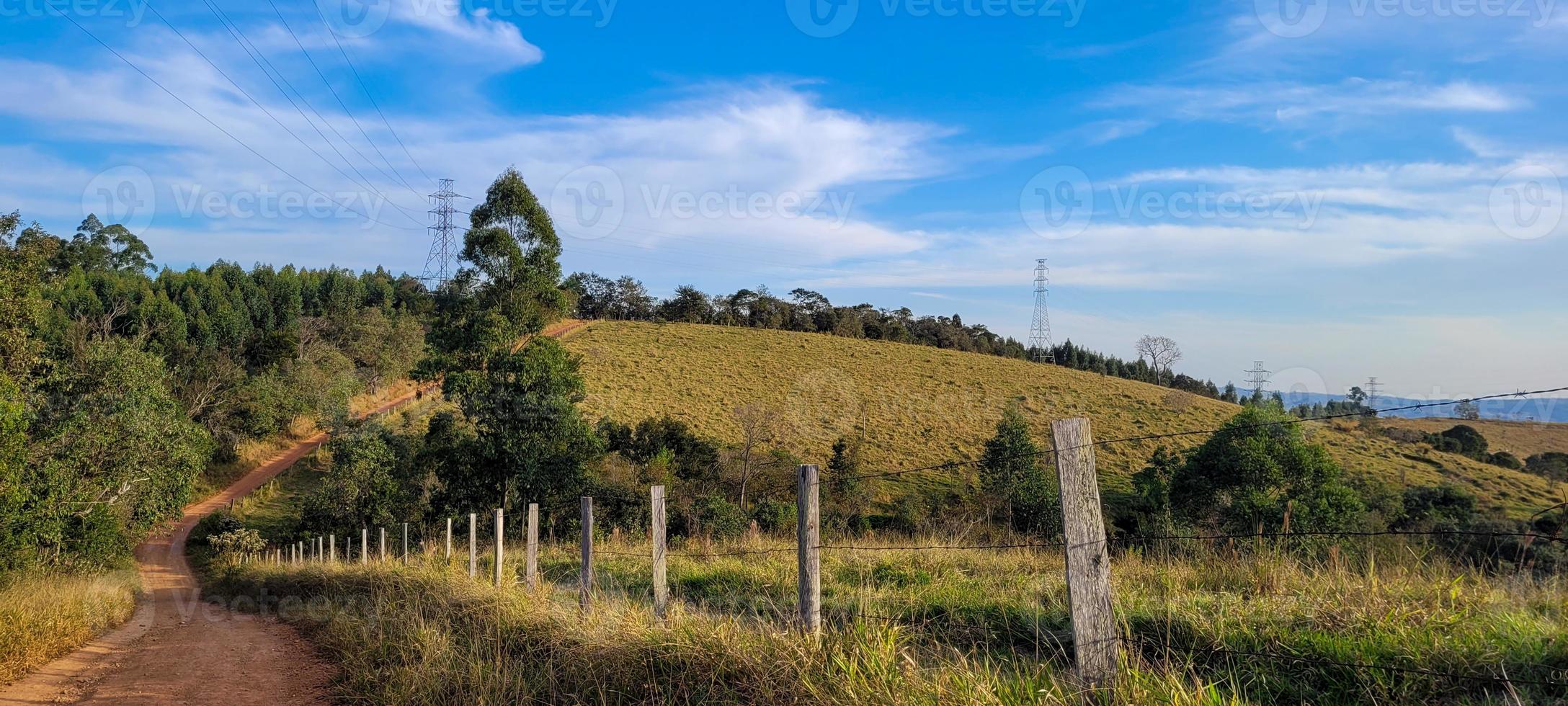 paisaje natural rural en el interior de brasil en una finca de eucaliptos en medio de la naturaleza foto