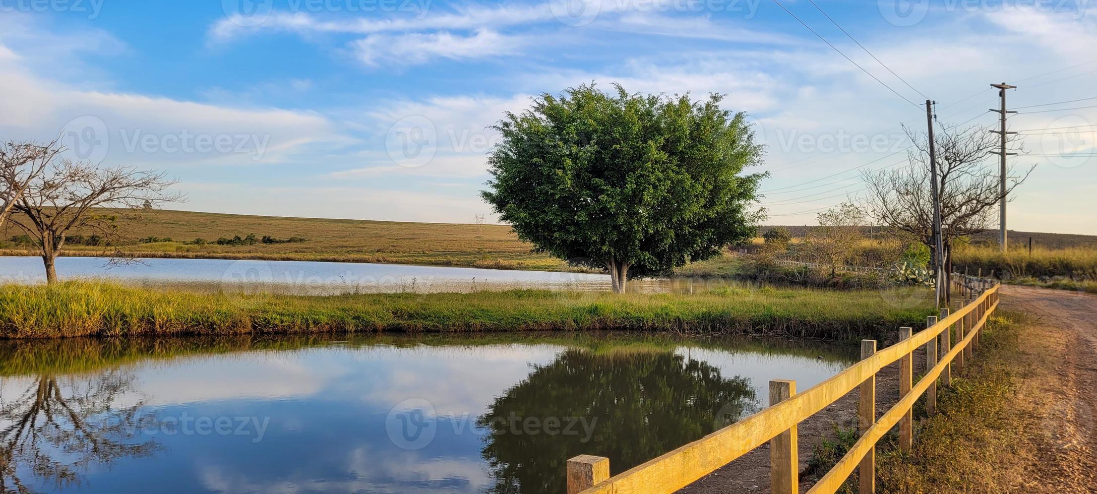 lago con paisaje natural de tierras de cultivo en el campo foto