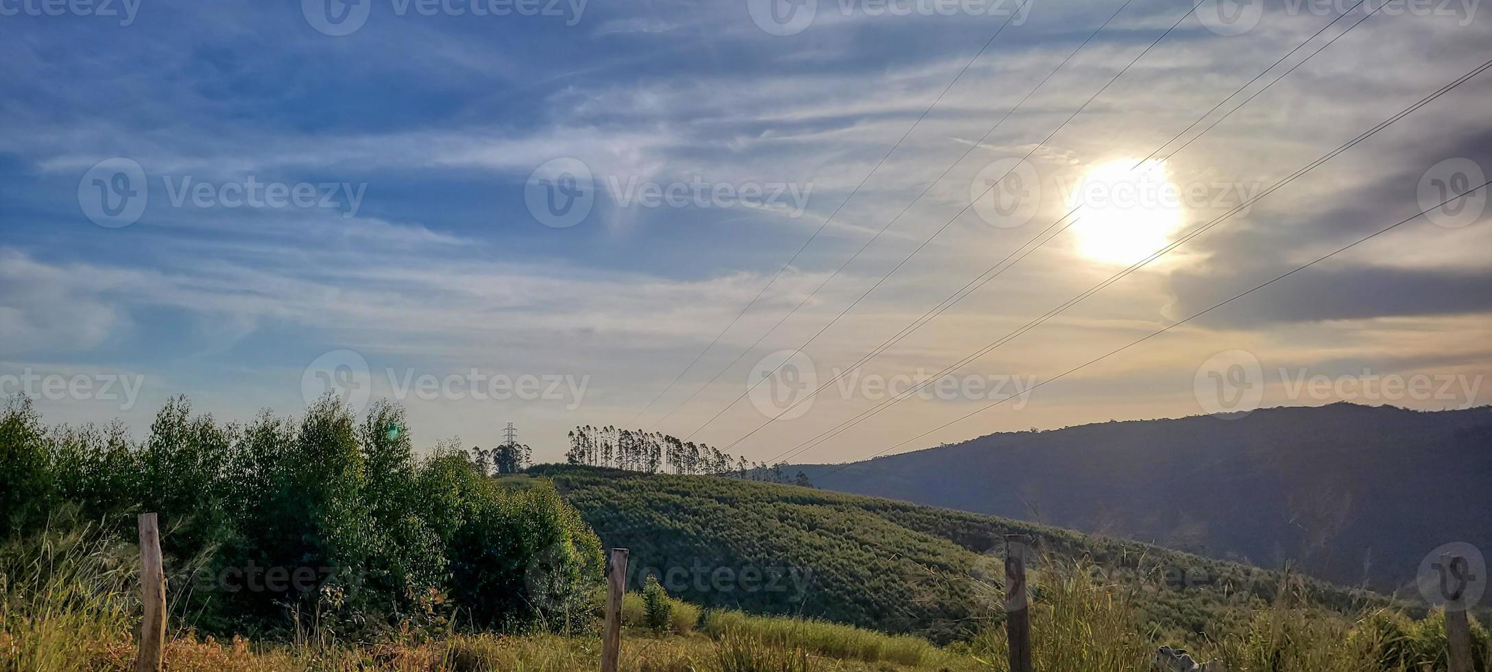 rural nature landscape in the interior of Brazil in a eucalyptus farm in the middle of nature photo