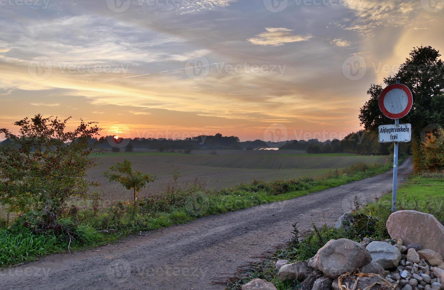 View of an agriculturally used field with green grass. photo