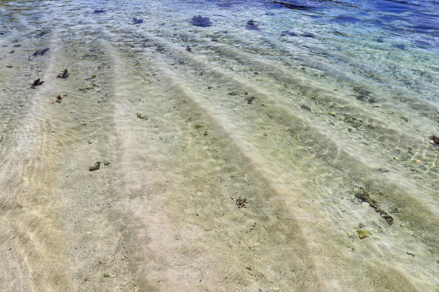 Colorful seabed shots taken at the beaches of the Seychelles islands photo