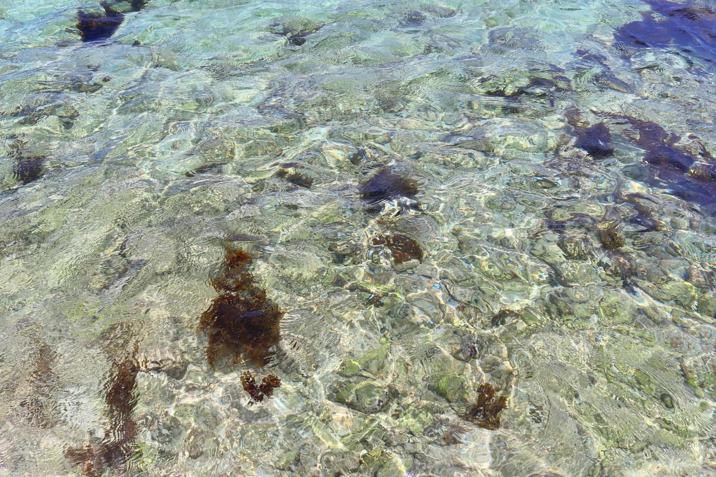 Colorful seabed shots taken at the beaches of the Seychelles islands photo