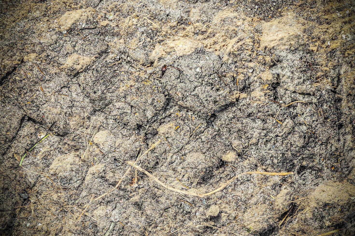 Detailed close up view on dry agricultural grounds and acre in high resolution photo