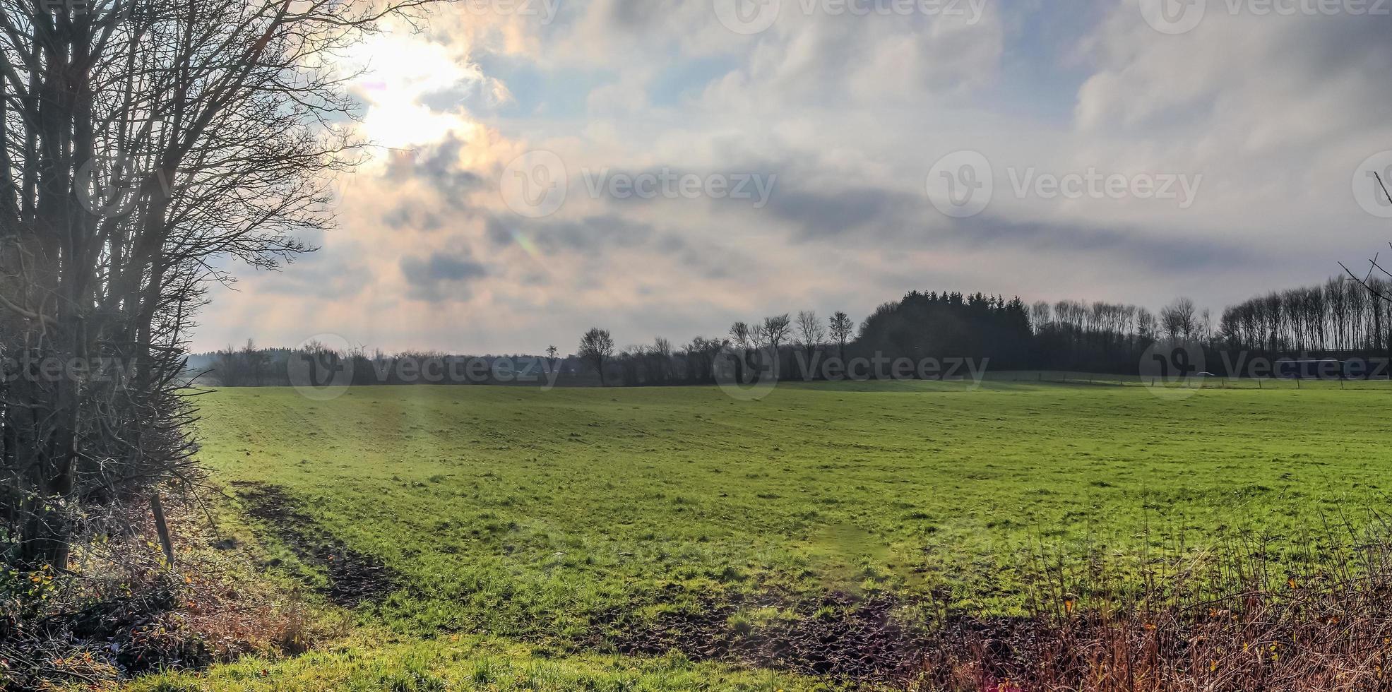 vista de un campo usado agrícolamente con hierba verde. foto