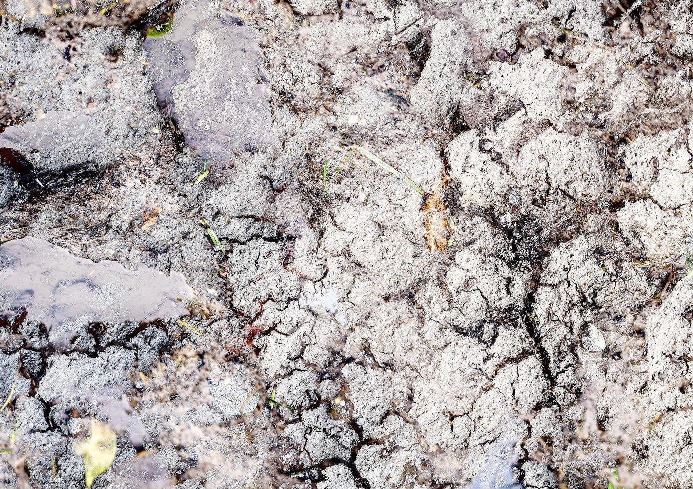 Detailed close up view on dry agricultural grounds and acre in high resolution photo