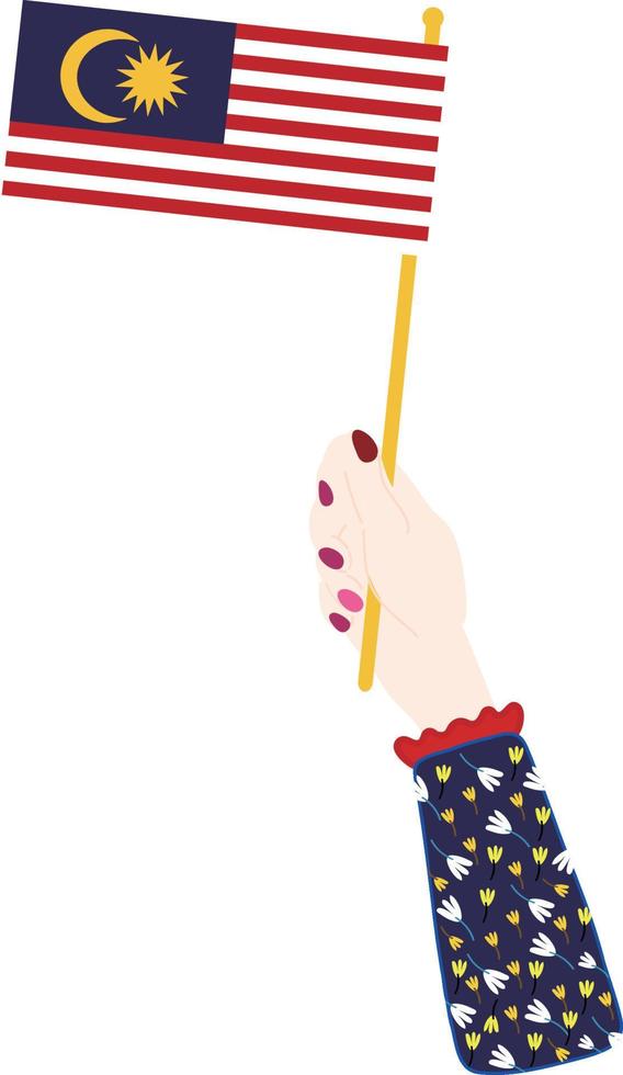 malaysian flag vector hand drawn,Malaysian ringgit vector hand drawn