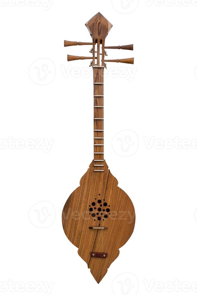 Musical instrument isolated. photo