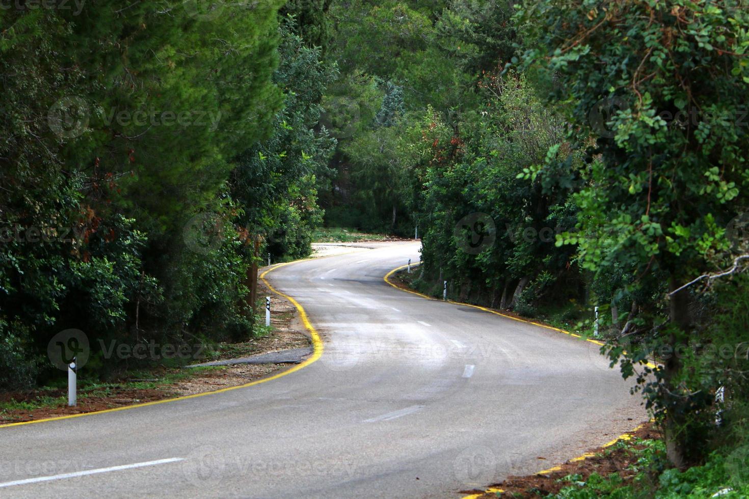 Highway in Israel from north to south photo