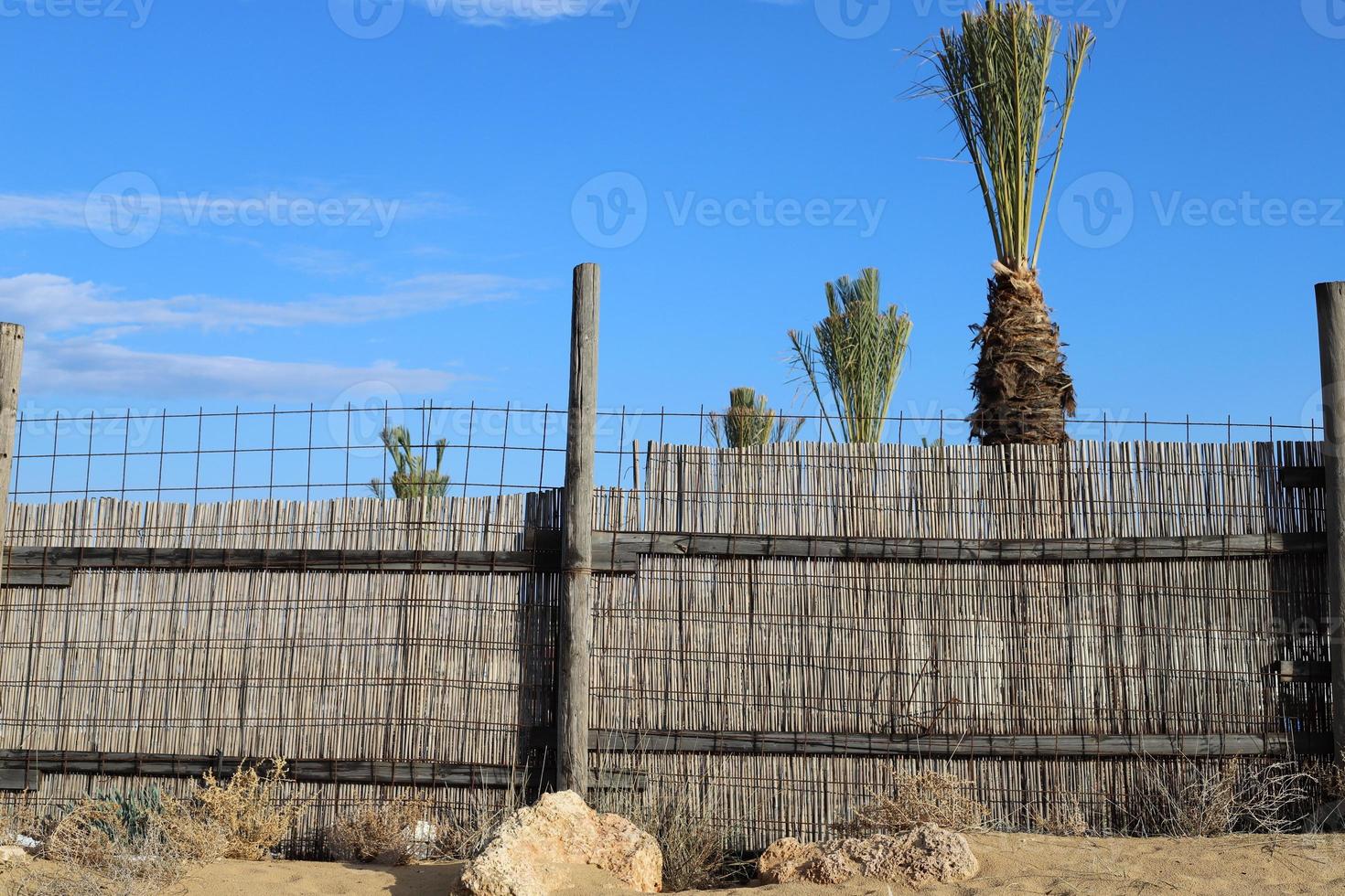 Fence in the city park on the shores of the Mediterranean Sea. photo