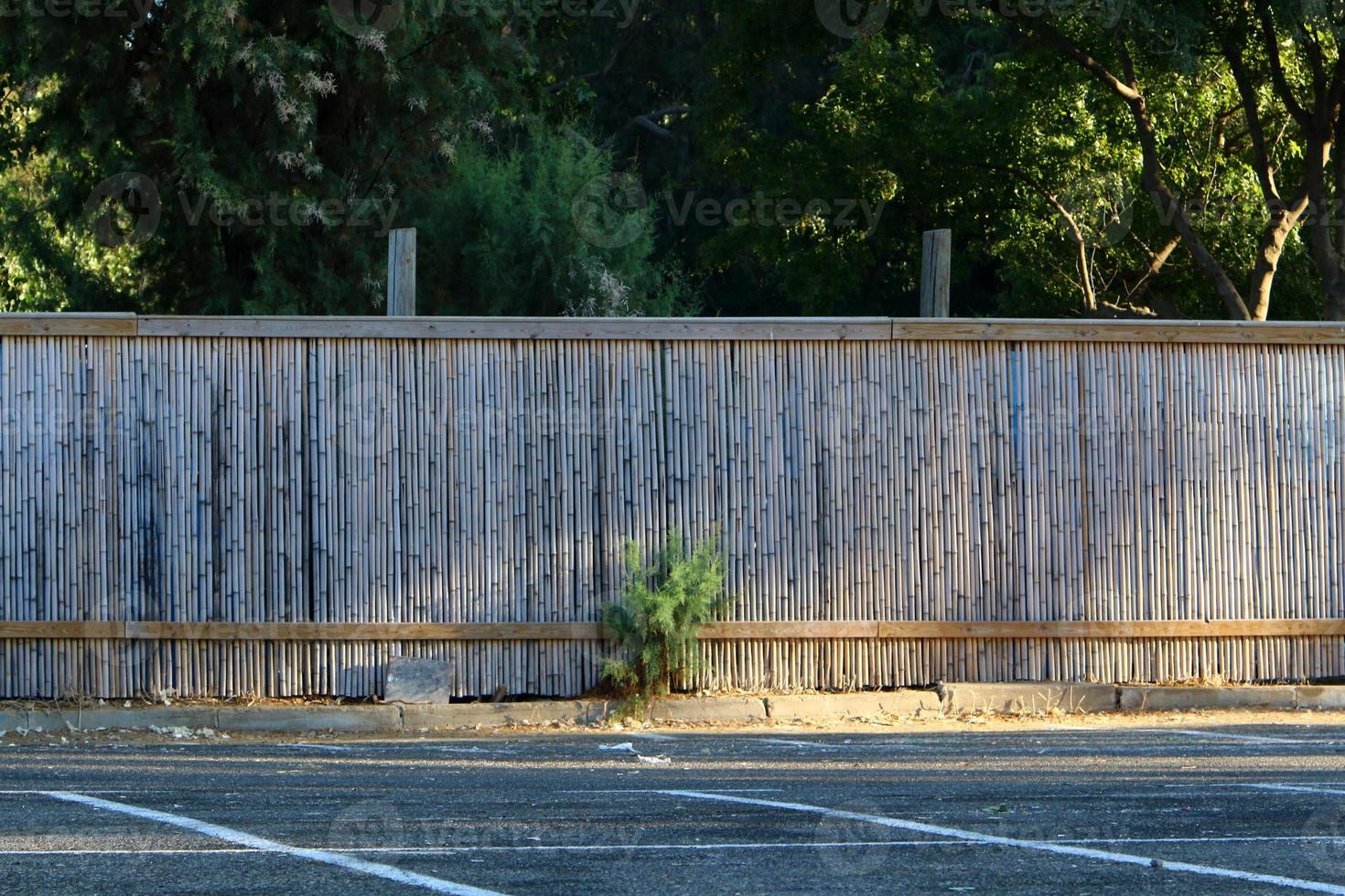 Fence in the city park on the shores of the Mediterranean Sea. photo