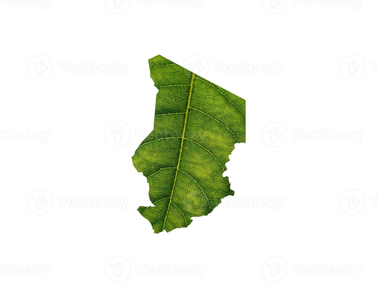 Chad map made of green leaves on soil background ecology concept photo