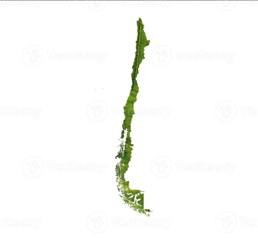 Chile map made of green leaves on soil background ecology concept photo