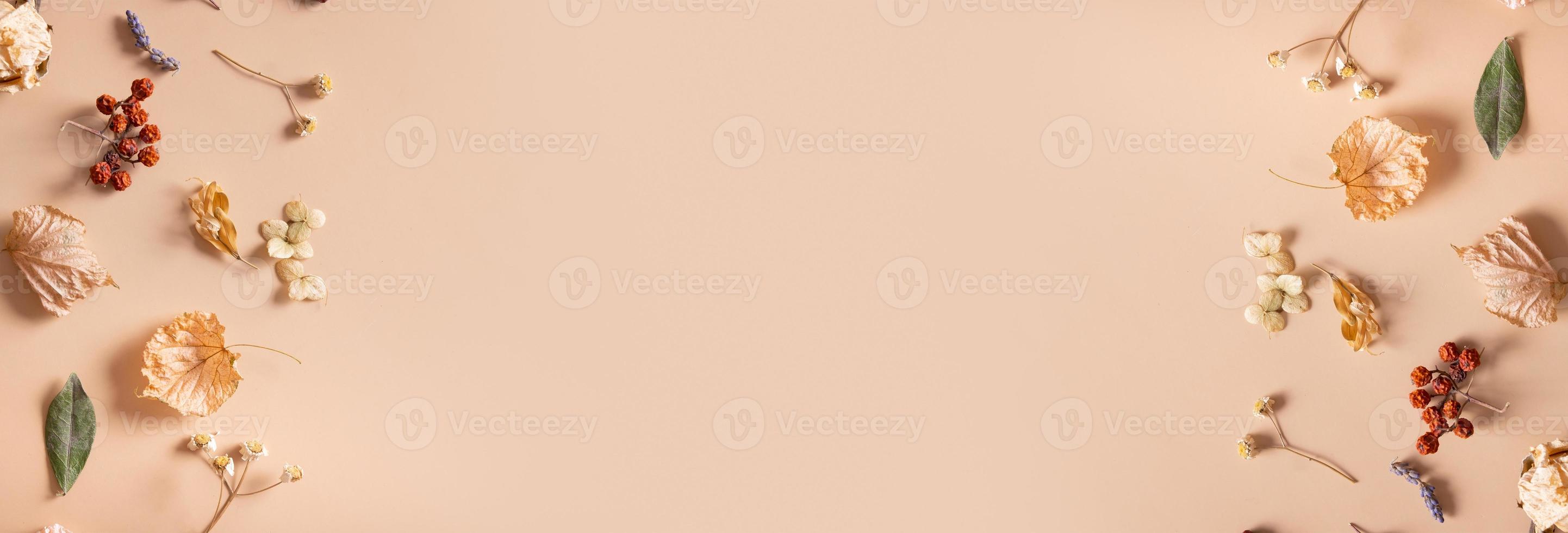 Autumn banner. Pattern made of dried leaves and flowers on pastel beige background. Autumn, fall concept. Flat lay, top view, copy space photo