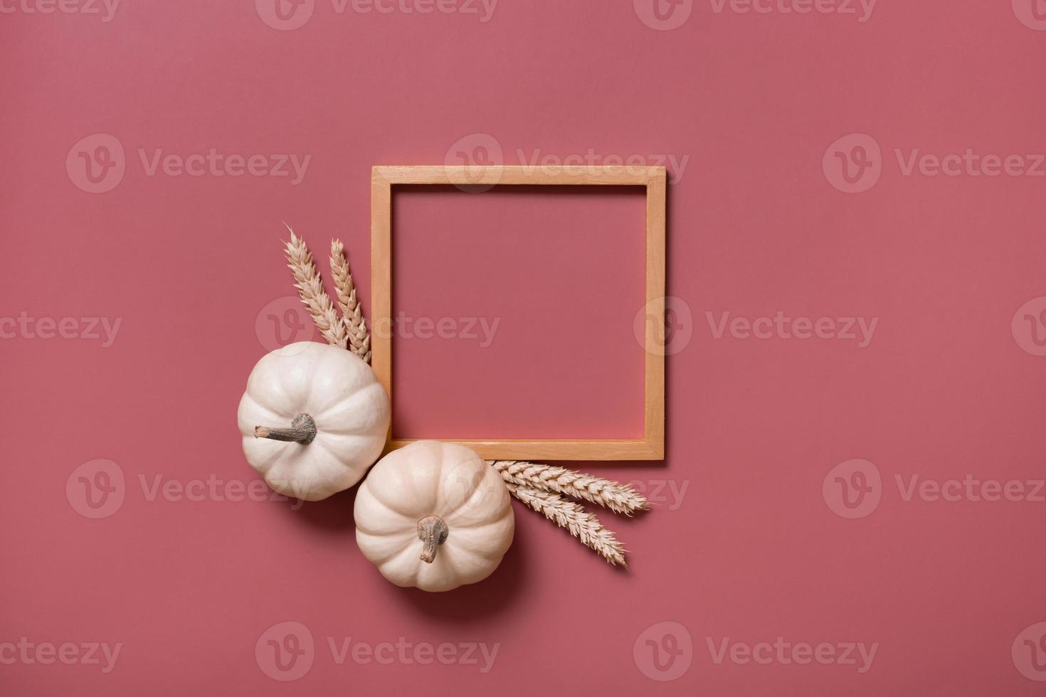 Decorative pumpkins and wooden frame for text, autumn themed blank top view, flat lay photo