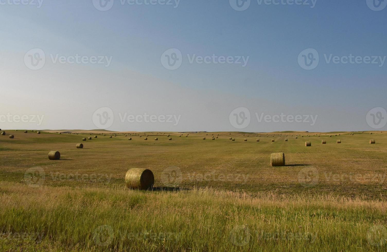 Stunning Landscape with Rolled Bales of Hay photo