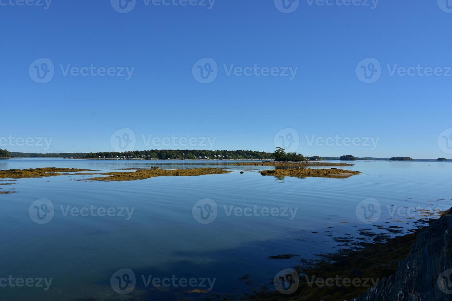 Rugged Seashore with Views of Little French Island photo