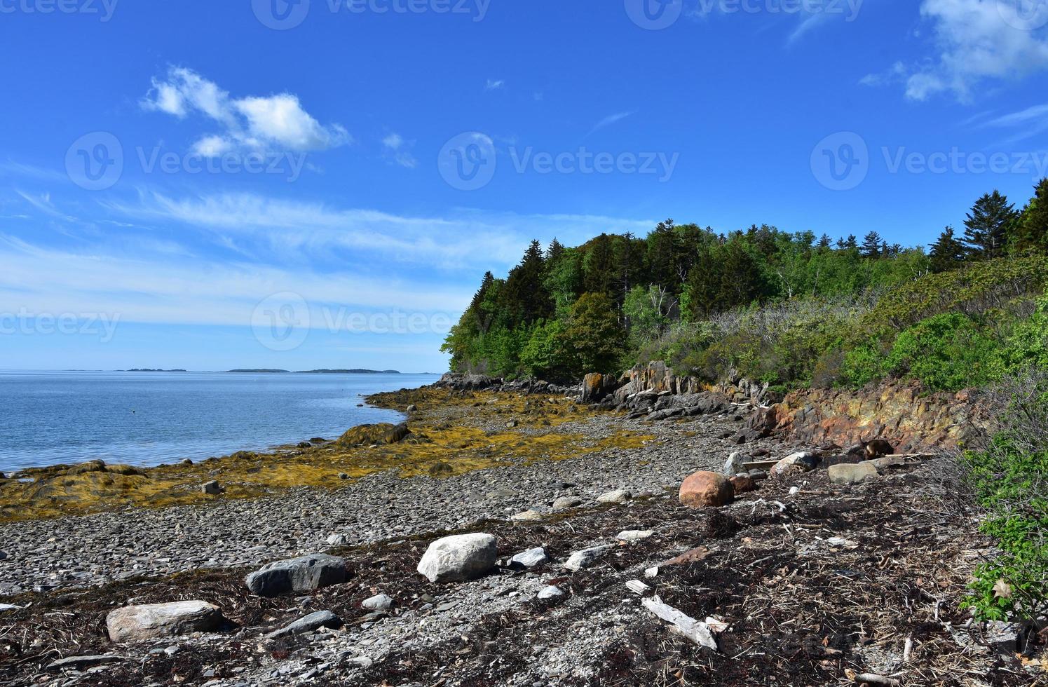 Scenic Rural Rugged Seashore Along Coastal Maine photo